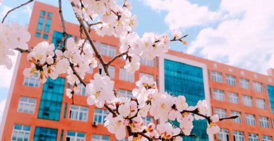 温暖福利banner