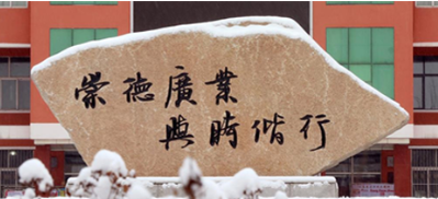 RAYBET雷官网banner